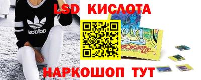mdpv Новодвинск