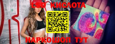 mdpv Новодвинск
