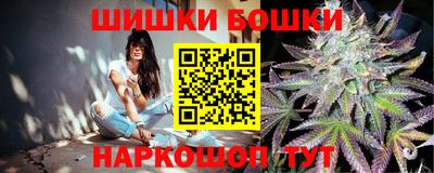 mdpv Новодвинск
